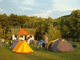 Camping Mustang